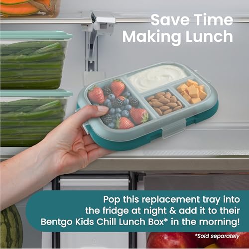 bentgo-replacement-tray-for-chill-kids-lunch-box-4-compartment-bento-tray-with-t image 6